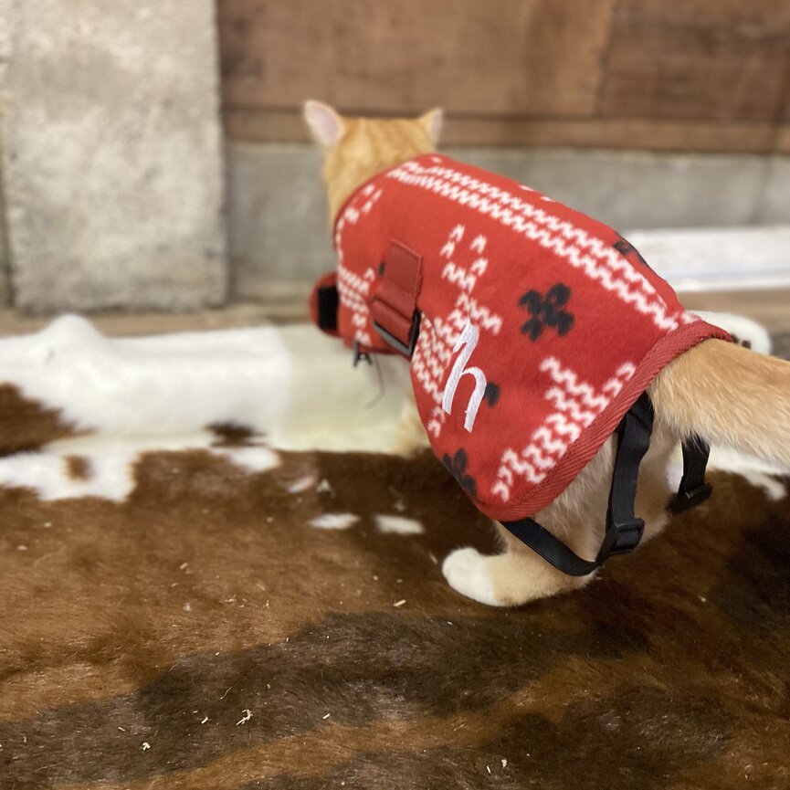 SANTA DOG FLEECE COAT