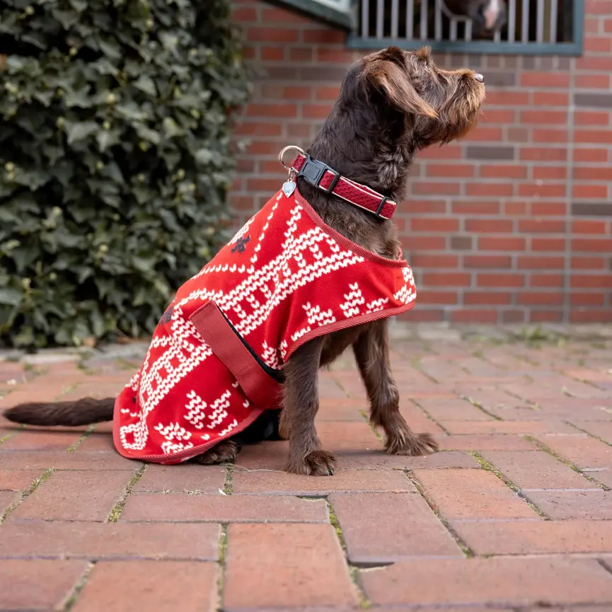 SANTA DOG FLEECE COAT