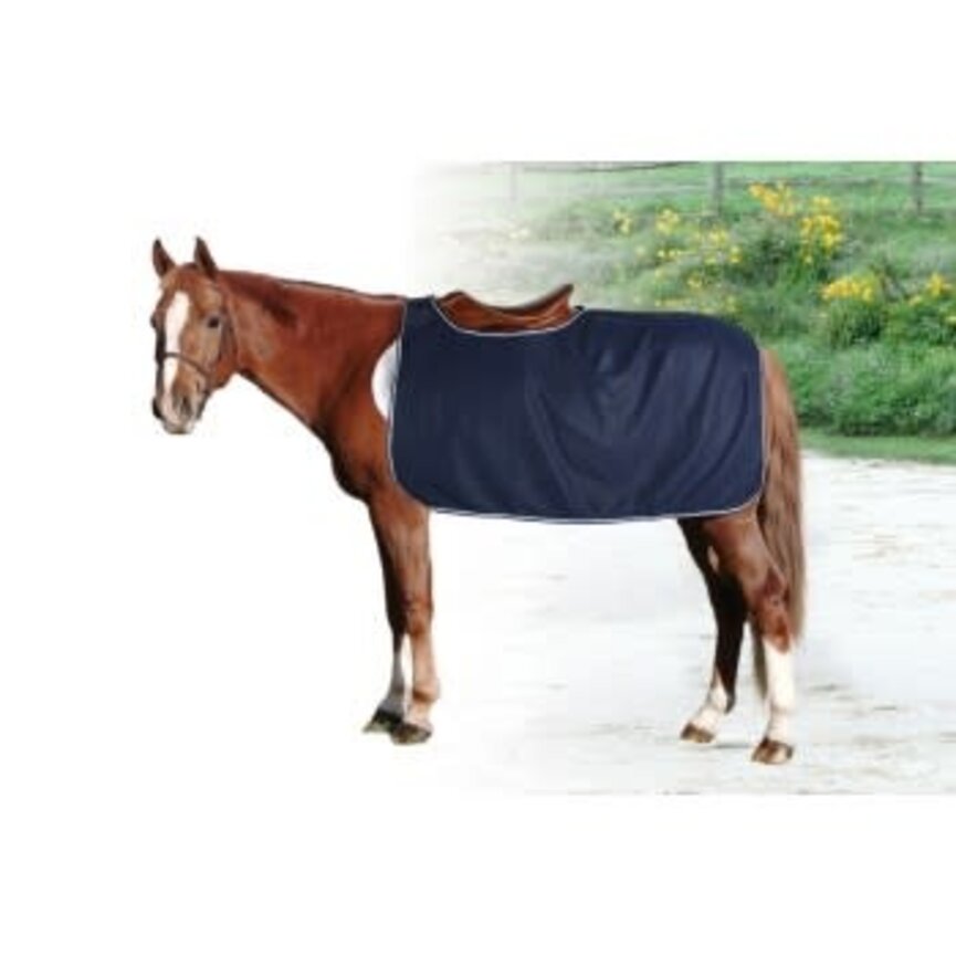 CENTURY FLEECE EXERCISE SHEET