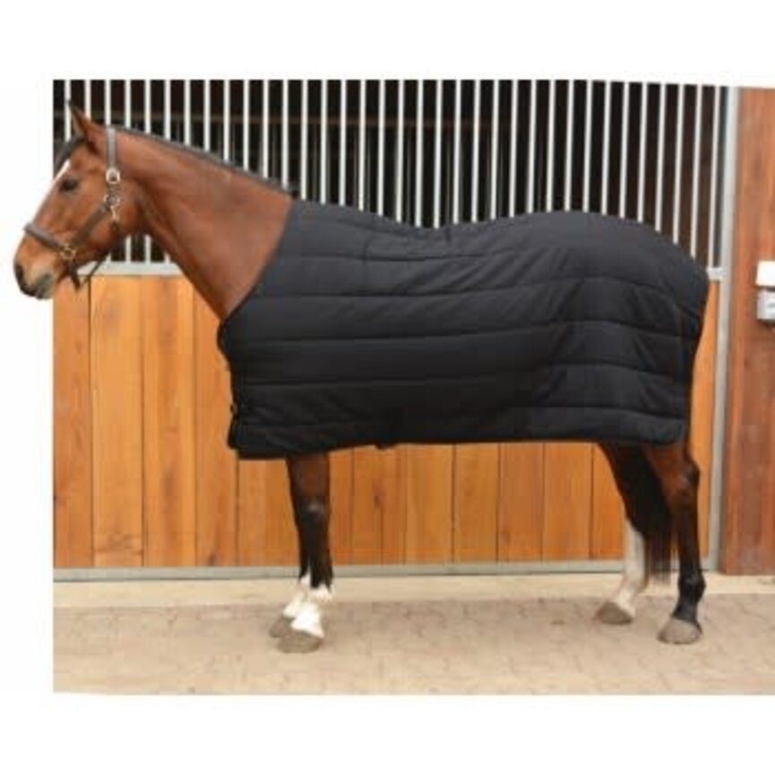 CENTURY UNDER RUG 150 gram