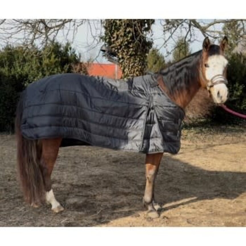 CENTURY EQUILAYERS EQUIBASE 50 LINER