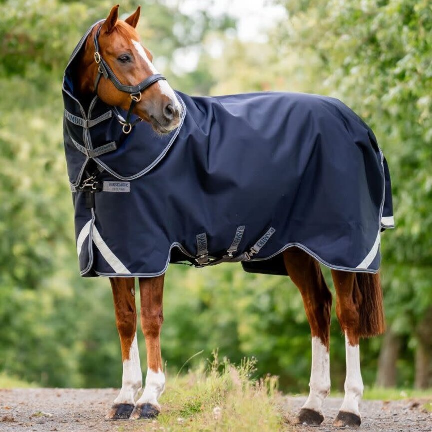 Rambo 1680D Plus Turnout 100g