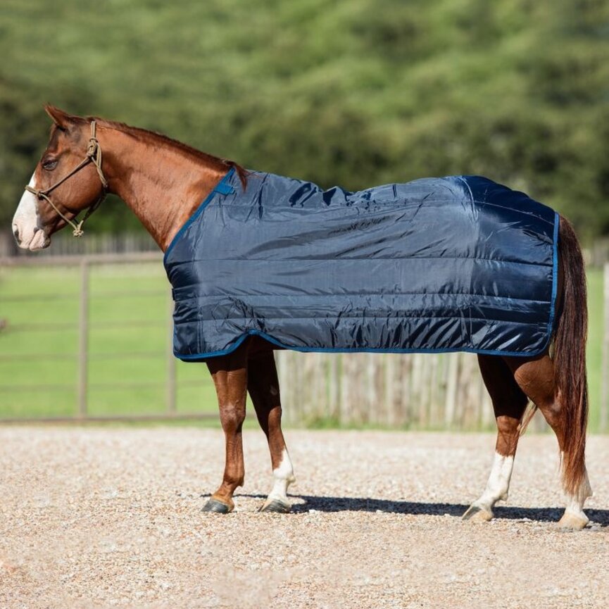 Horseware Liner (200g Medium)