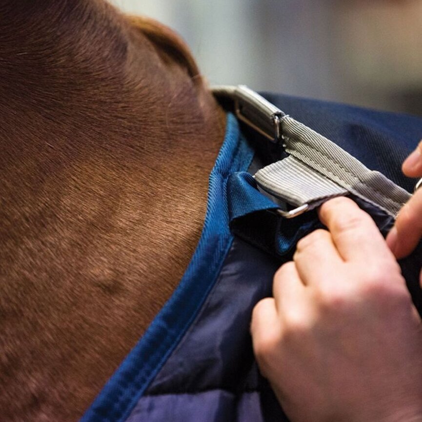 Horseware Liner (200g Medium)