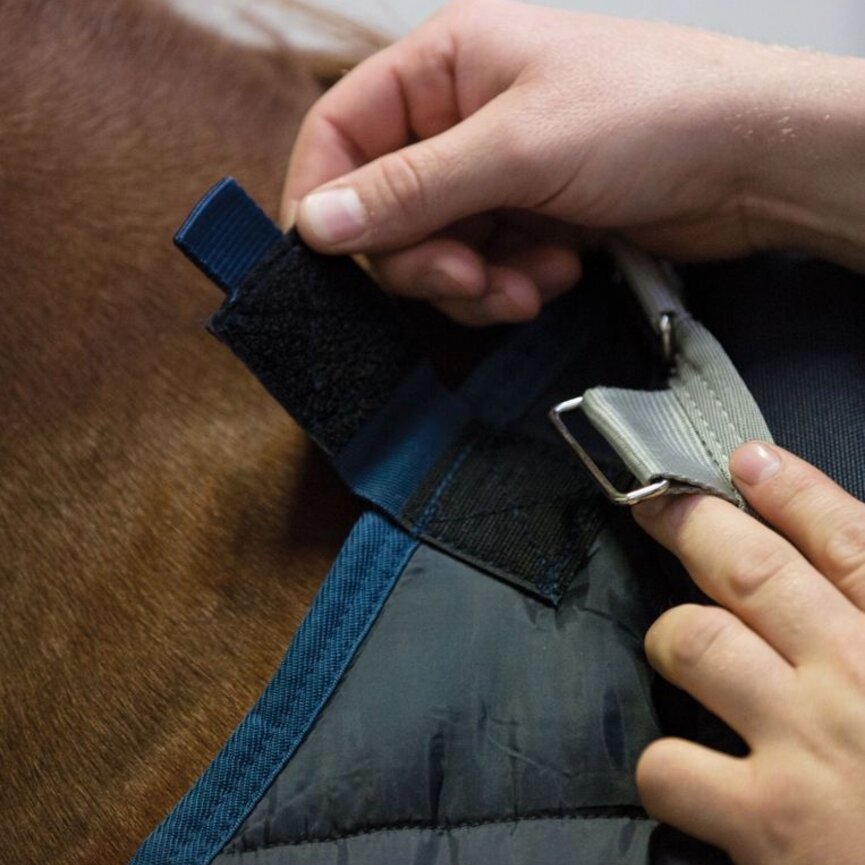 Horseware Liner (400g Heavy)