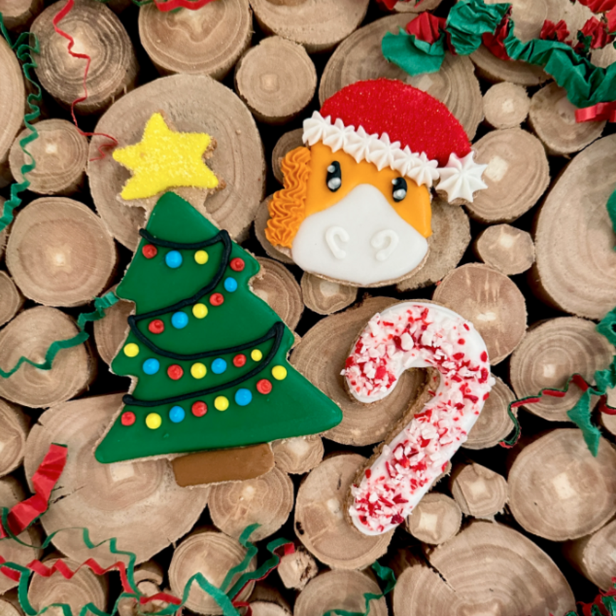Christmas Tree 3 pack Horse Treat