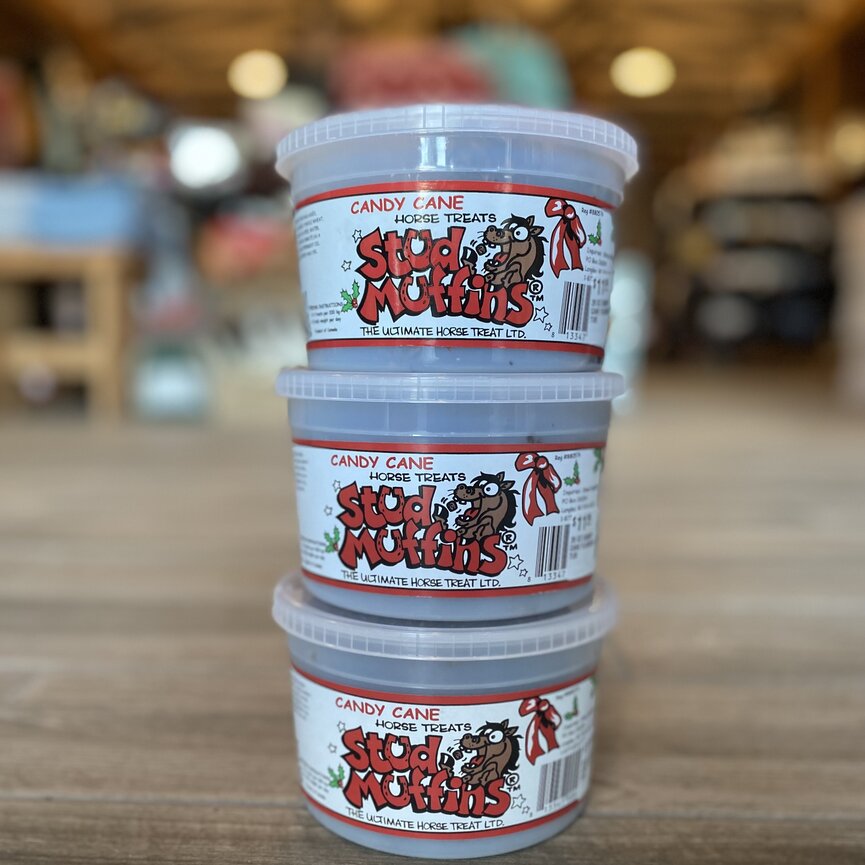 20 OZ CANDY CANE FLAVOUR TUB