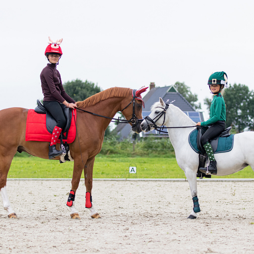 QHP Christmas Boot Socks Elf/Rudolph - 2 Pack (Size 35-38)