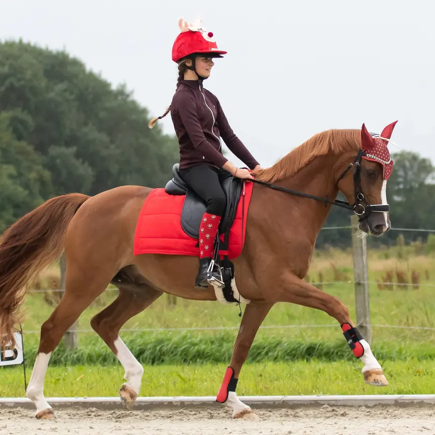 QHP Christmas Boot Socks Elf/Rudolph - 2 Pack (Size 35-38)