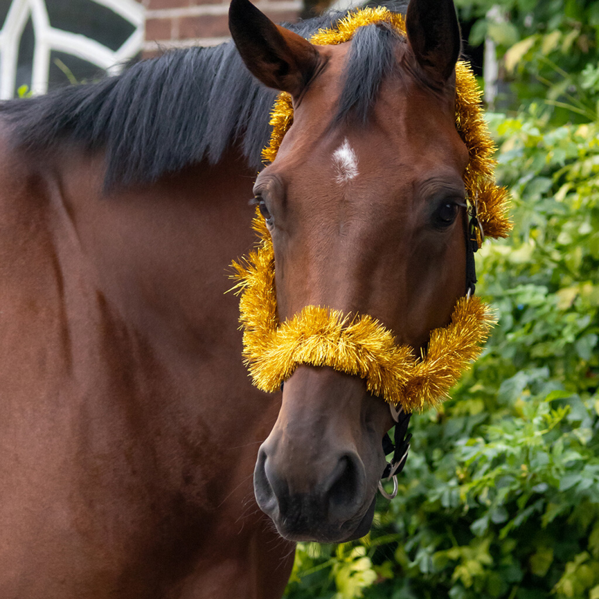 QHP Christmas Garland Halter (Gold)