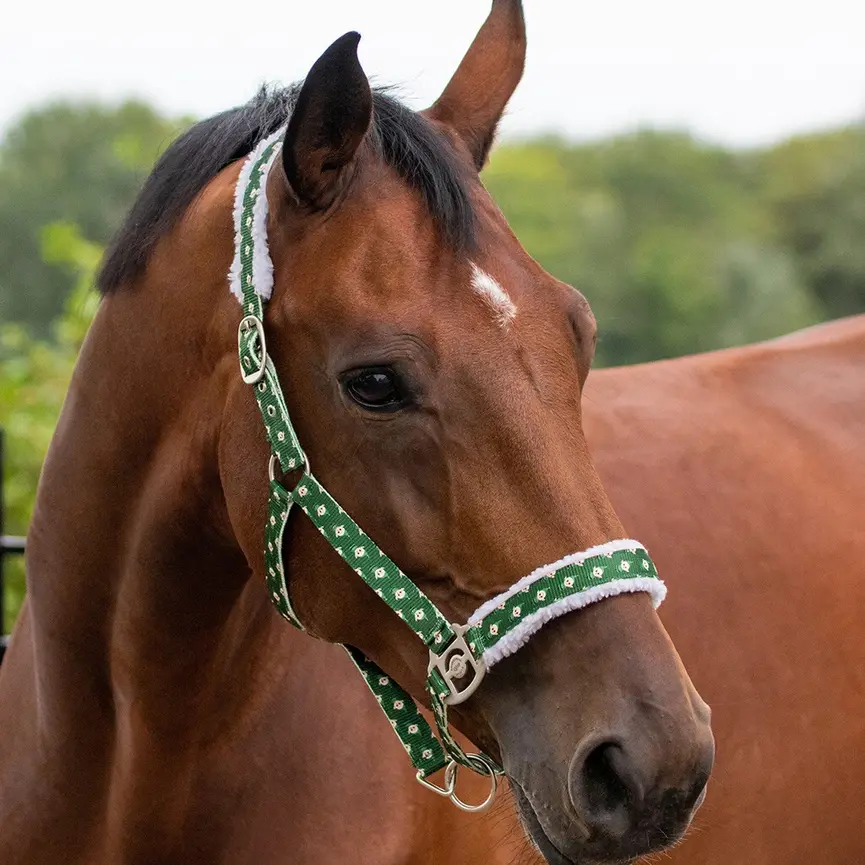 QHP Christmas Halter