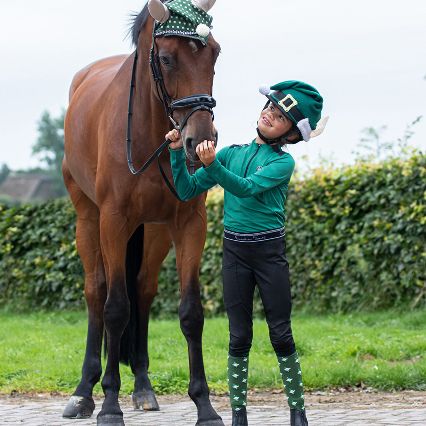 QHP Christmas Helmet Cover