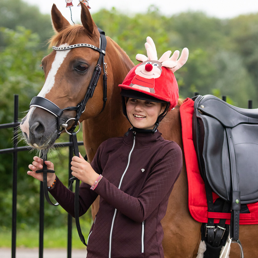 QHP Christmas Helmet Cover