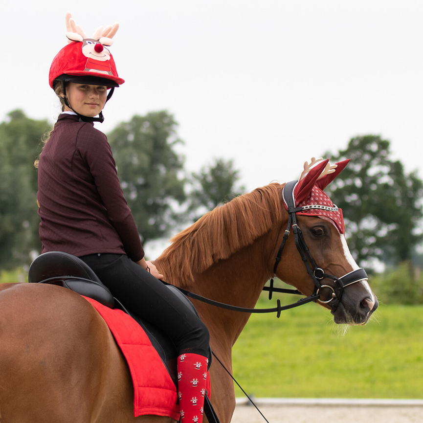 QHP Christmas Helmet Cover