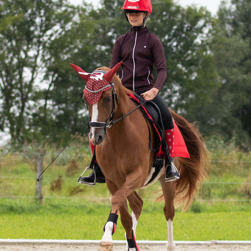QHP Christmas Helmet Cover