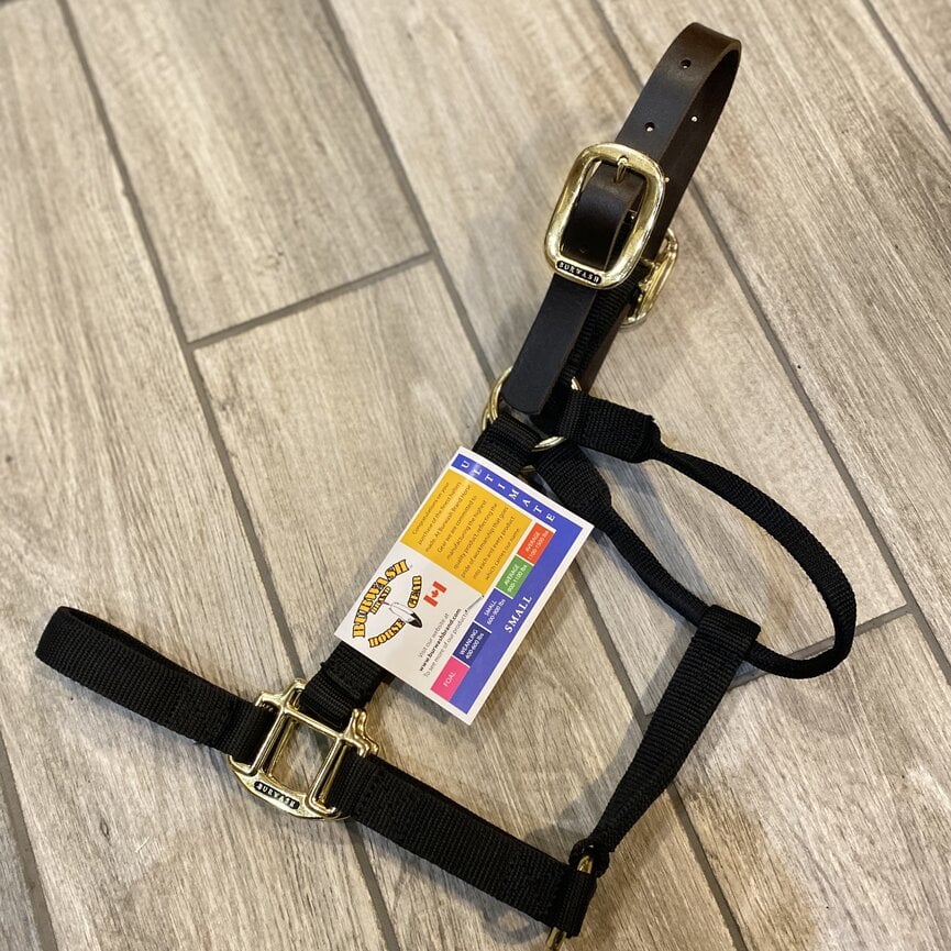 Burwash Ultimate Halter with Breakaway