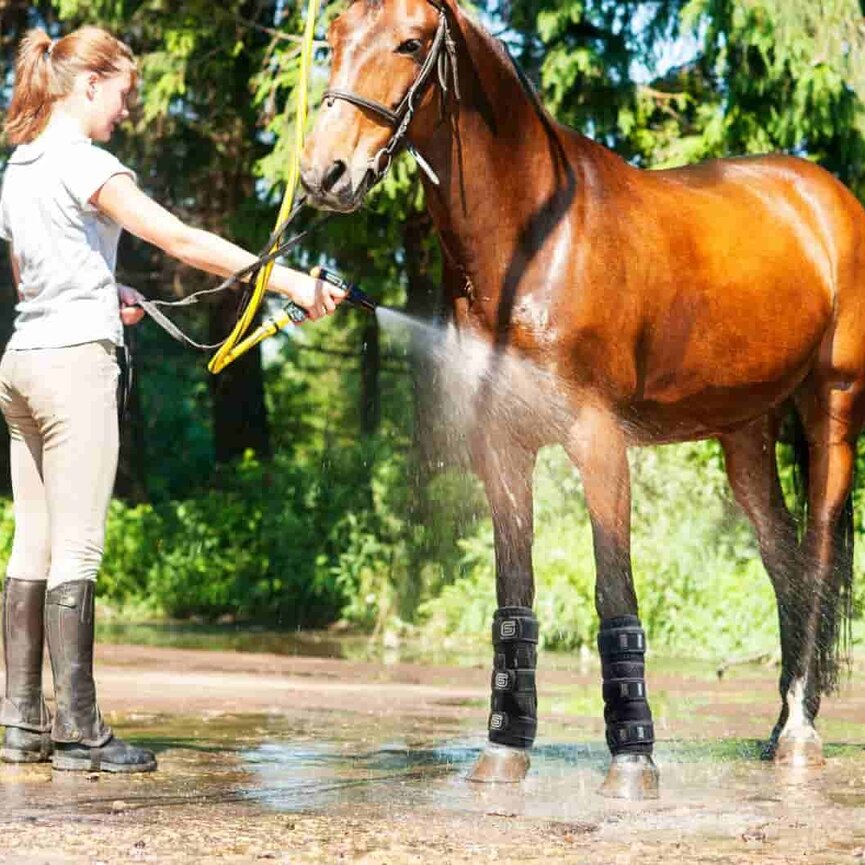 EQU StreamZ Coolboots for Horses (pair)