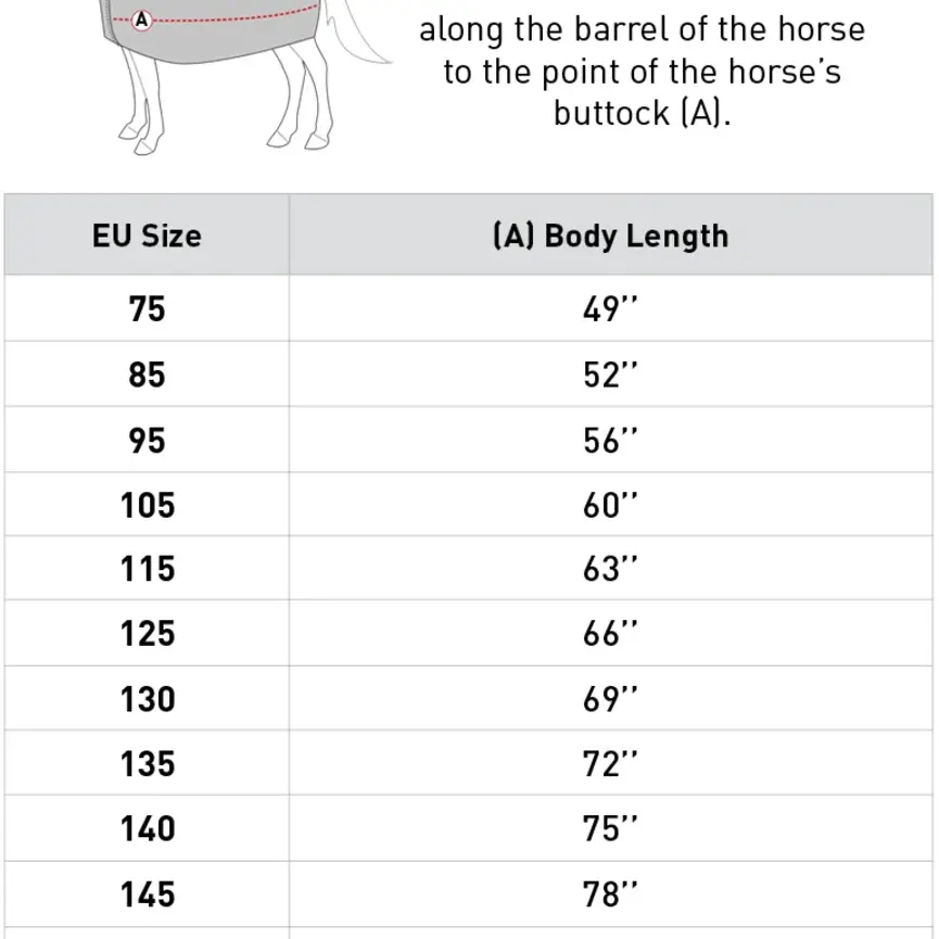 Hi Viz Reflective Riding Sheet