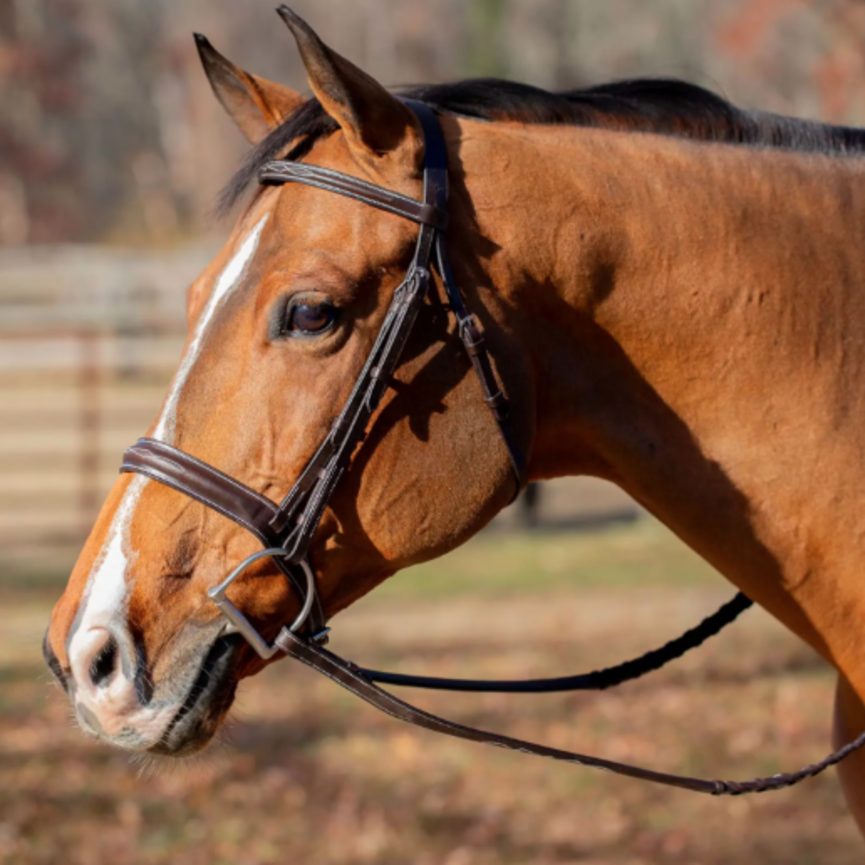 Valkyrie Classic Wide Noseband Hunter Bridle with Reins