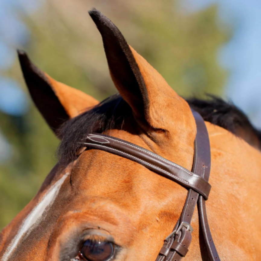 Valkyrie Classic Wide Noseband Hunter Bridle with Reins
