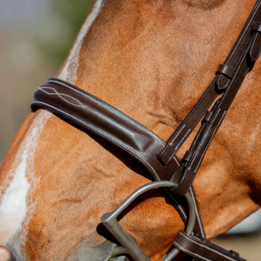 Valkyrie Classic Wide Noseband Hunter Bridle with Reins