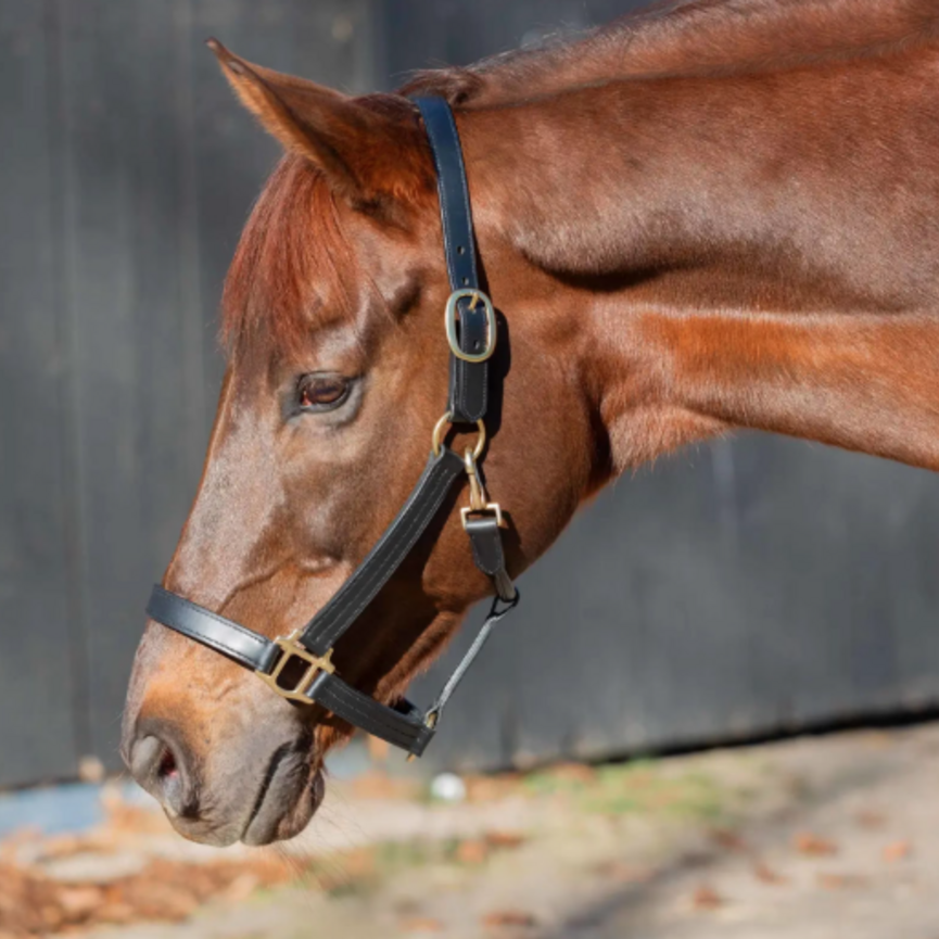 Valkyrie Classic Leather Halter
