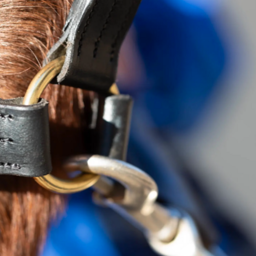 Valkyrie Classic Leather Halter