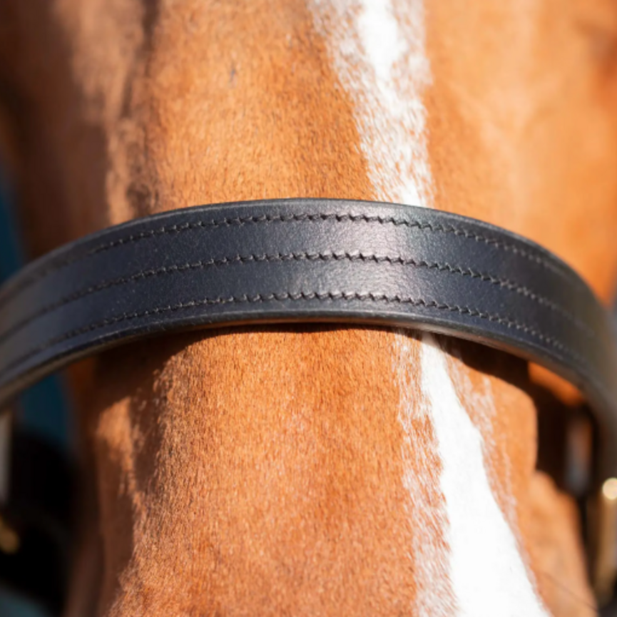 Valkyrie Classic Leather Halter