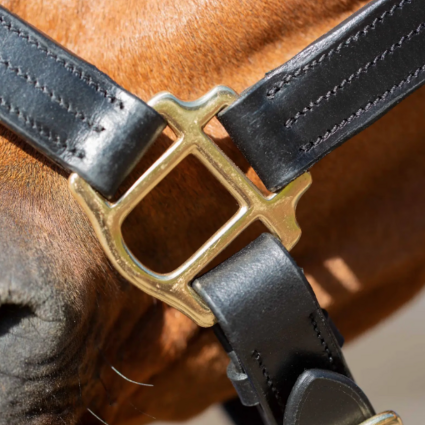 Valkyrie Classic Leather Halter