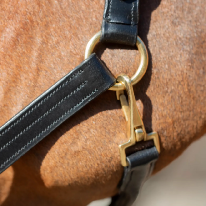 Valkyrie Classic Leather Halter