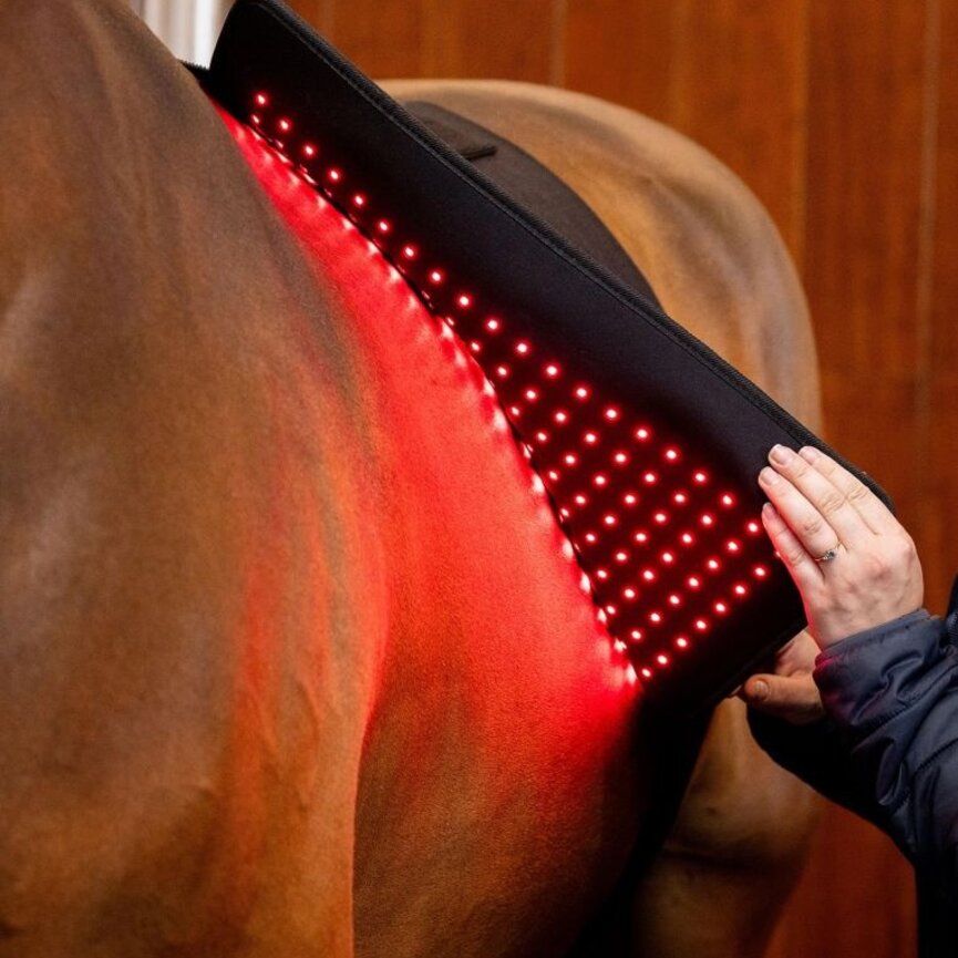 LED Red Light Therapy Pad