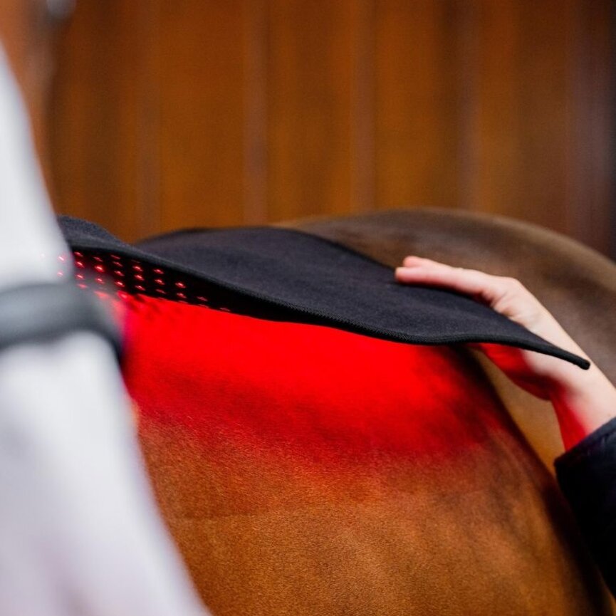 LED Red Light Therapy Pad