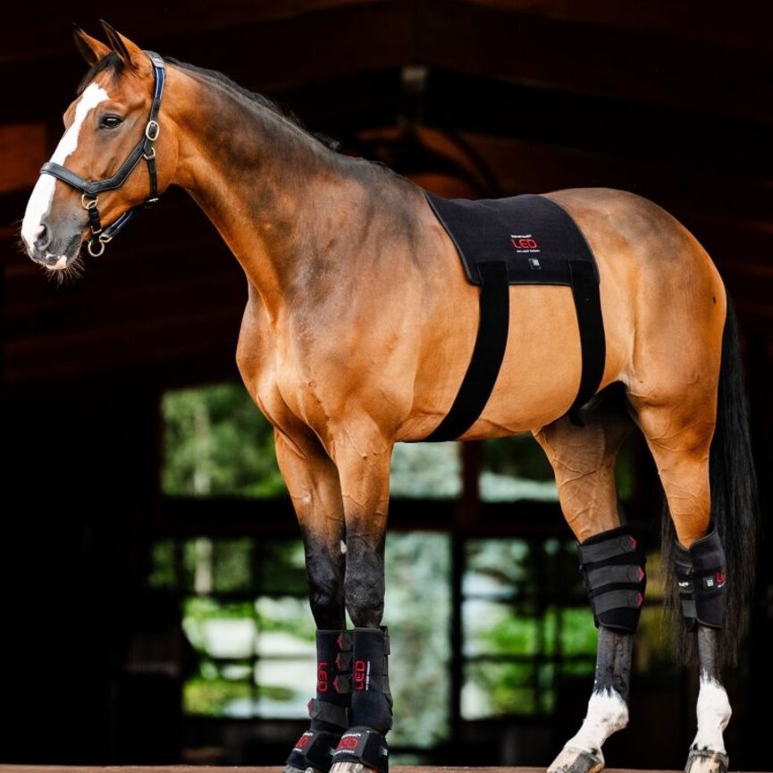 LED Red Light Therapy Pad