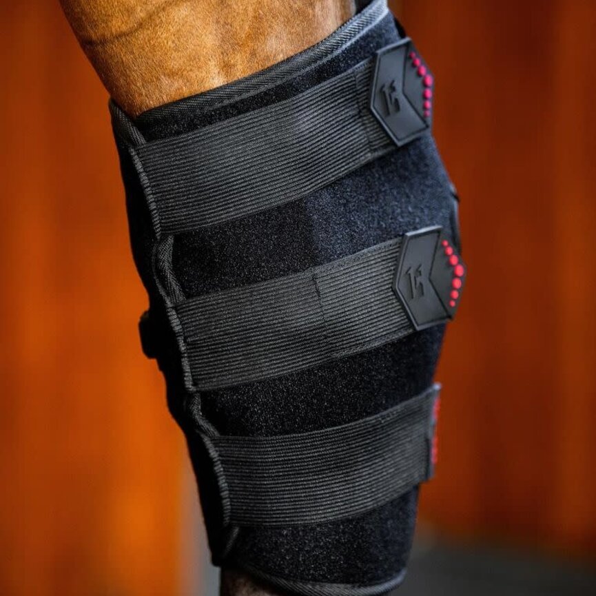 LED Red Light Therapy Hock Boots