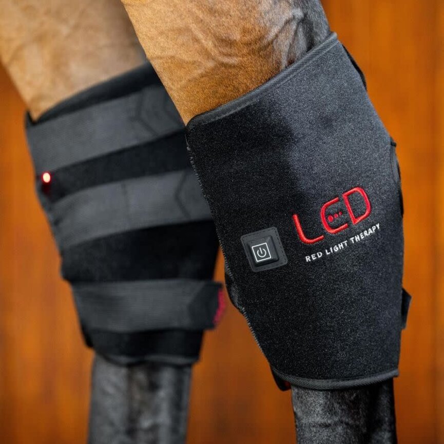 LED Red Light Therapy Hock Boots