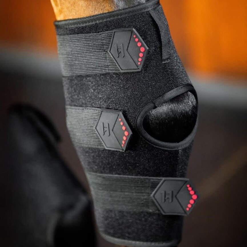 LED Red Light Therapy Hock Boots