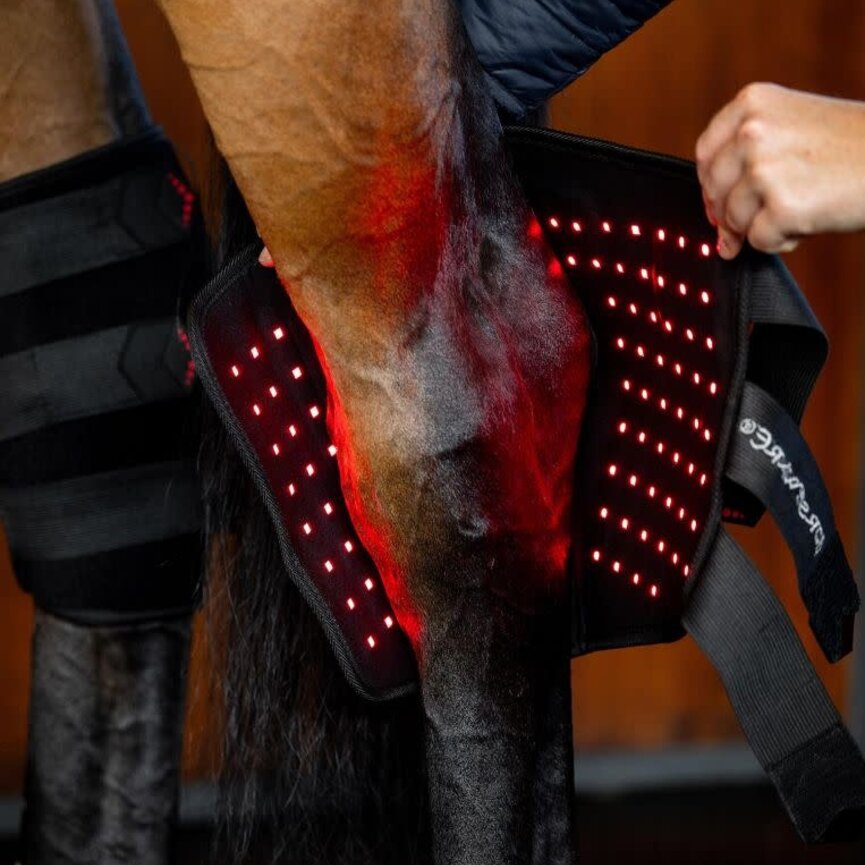 LED Red Light Therapy Hock Boots
