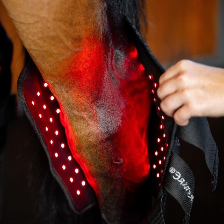 LED Red Light Therapy Hock Boots