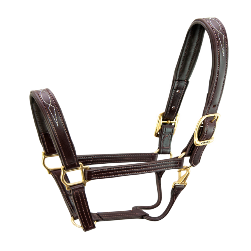SIGNATURE HALTER