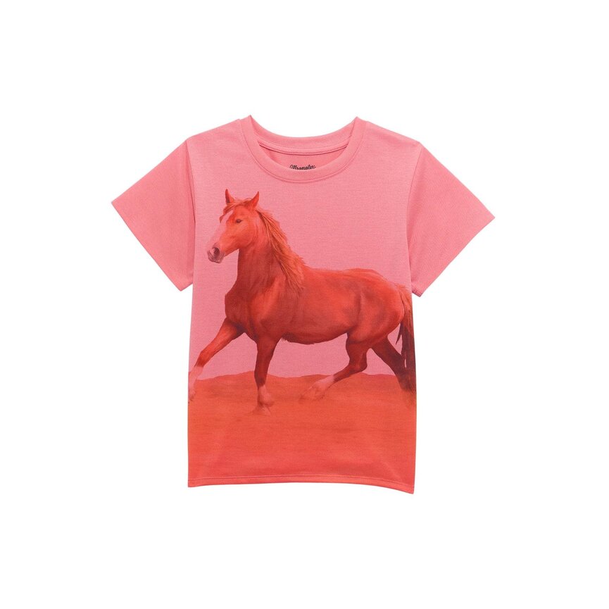 Girls Short Sleeve Horse Graphic T-Shirt - Pink
