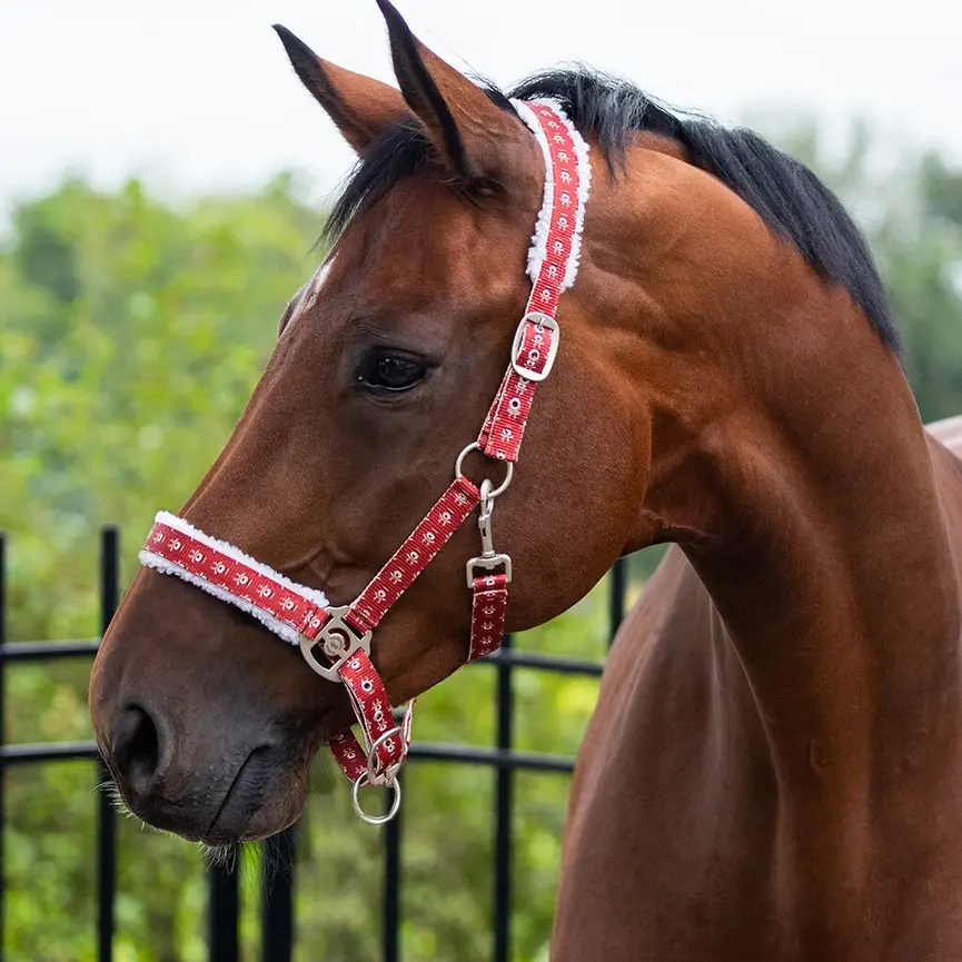 QHP Christmas Halter