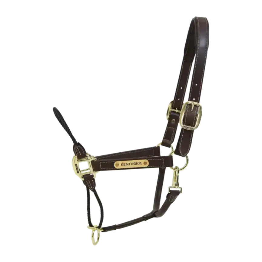 Leather Rope Halter