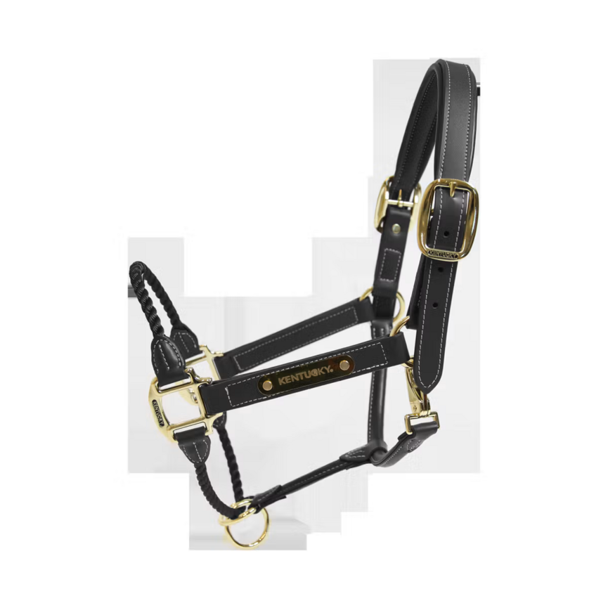 Leather Rope Halter