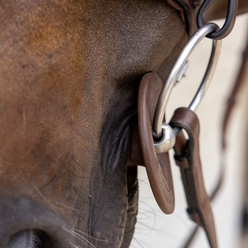 Silicone Bit Ring Pair of 2