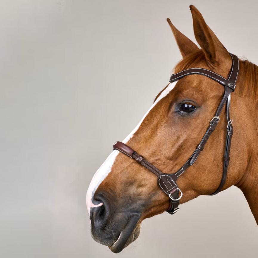Working Collection Bitless Bridle