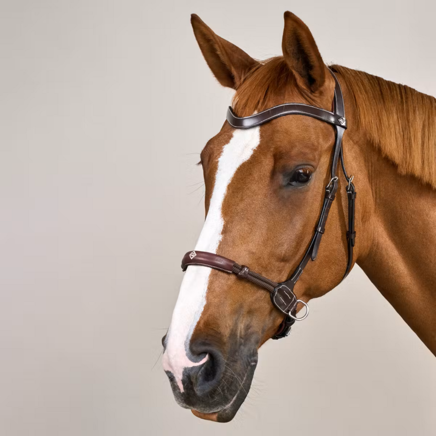 Working Collection Bitless Bridle