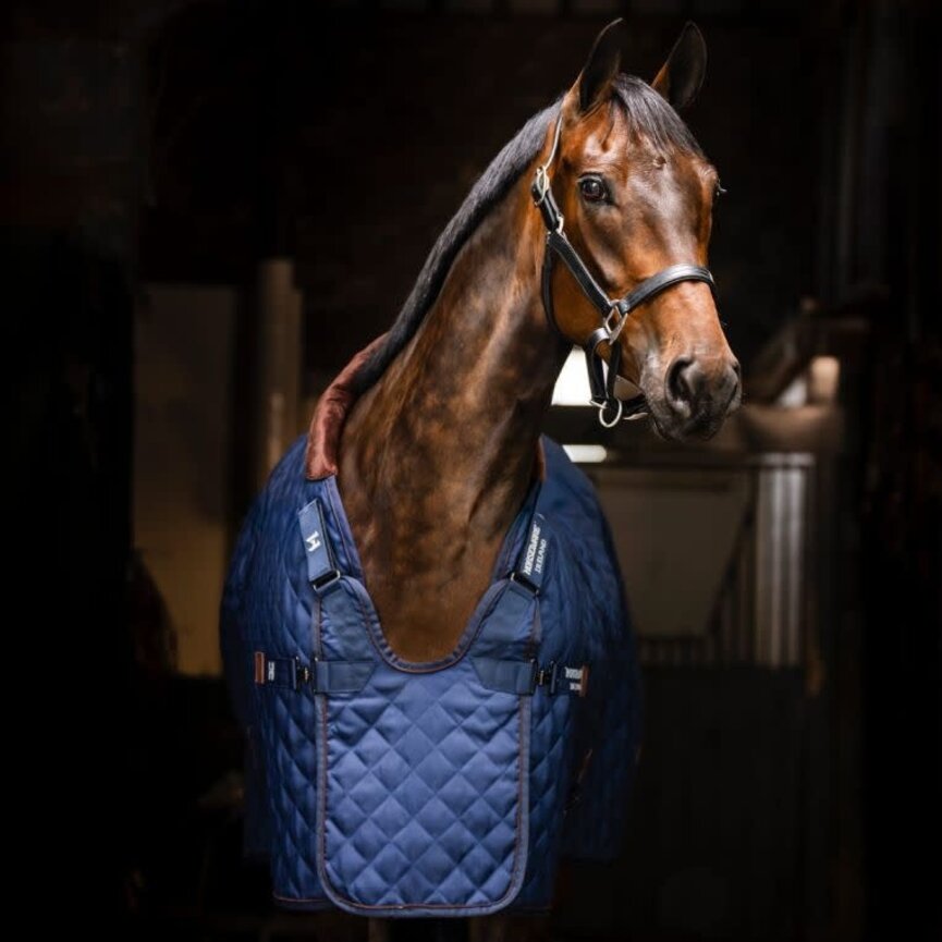 Horseware Signature Stable 200g