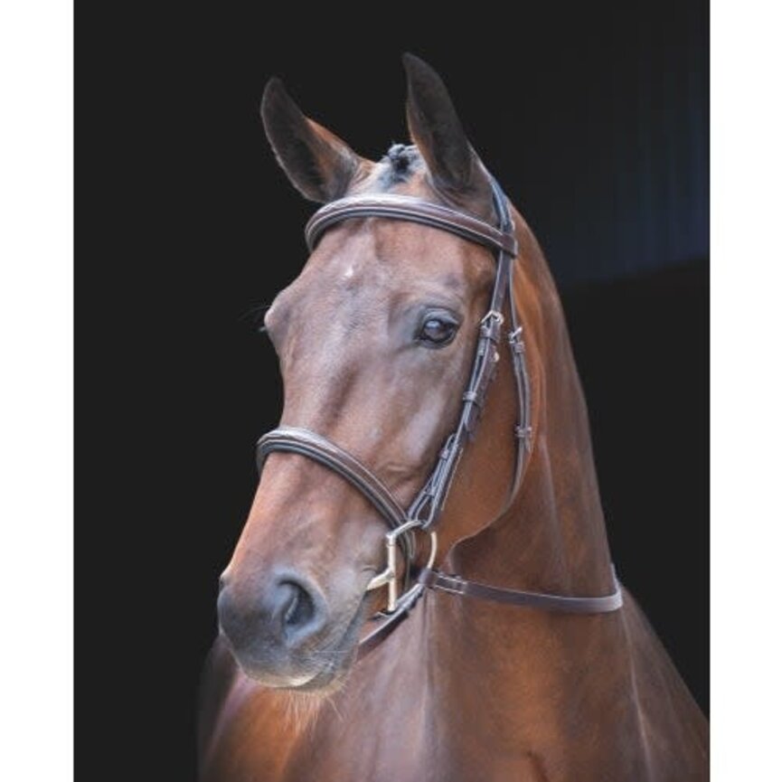 ROSSANO AMALFI BRIDLE