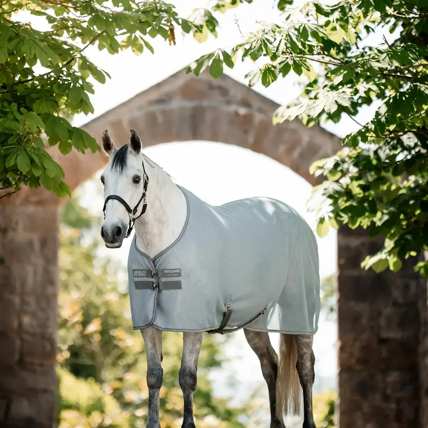 Amigo AirNet Cooler (Heather Blue / Titanium)