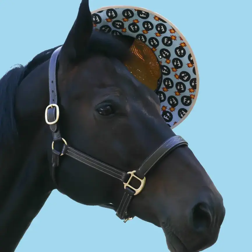 Hay Sunshine F Bomb Hat